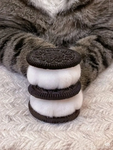 MadForOreo