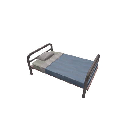 Hospital Bed