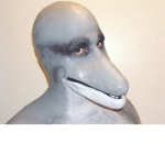 Shark Blox fans