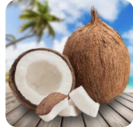 Coconut Team X