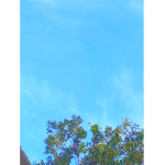 Unicornforgangunicorn