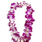 Makai Islands