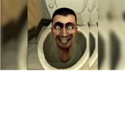 Survive skibidy