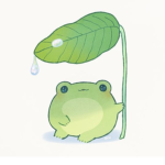frog heart for life