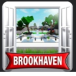 Brookhaven fan grup