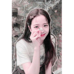 BLACKPINK AND BLINK
