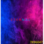 E T E R N A L S彡