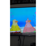 The charizards fans