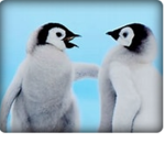 PenguinGamin Studios