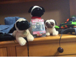 We are Pug kings