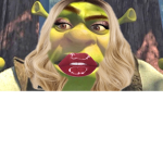 Noras critters