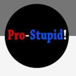 ::::{stupidpro=>
