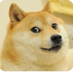 DOGGE GANG