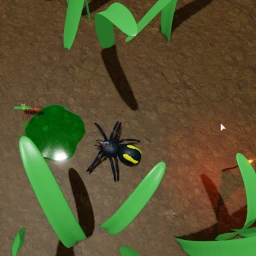Hungry Spider icon