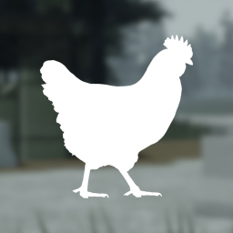 Hen Development Store