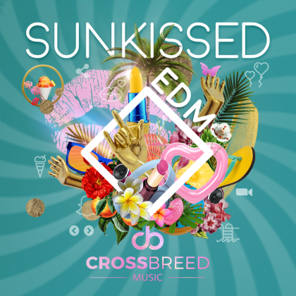 Summer Workout Roblox music