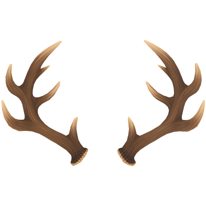 Deer Antlers
