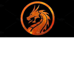 Dragon Fire Army