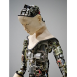 ROBOTS RULE ONLY ROBOTS