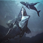 Sharks_people