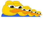 The duck cult!We look cute but we’re not...