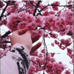 🌸