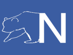 Northen Express Airlines