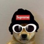 Doggo‘s 4 Everyone