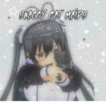 swaggy cat maids