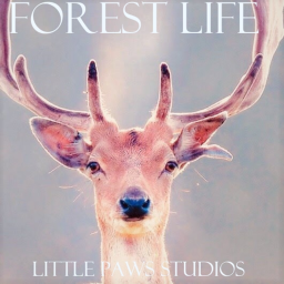 Forest Life WIP