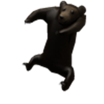 YOOOOOOOOOOOO