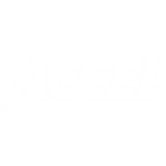 Accel World TM