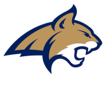 Bobcats Football Fusion 2