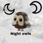 Night Owlss