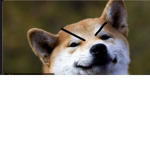 Doge People United