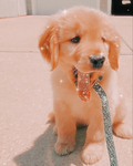 *+Preppy gaming+*