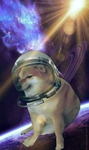 Doge group base and military