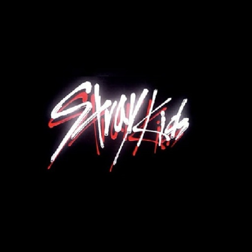 STRAY KIDS CITY