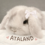 ATALAND