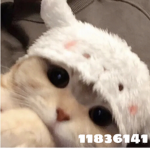 Vxtrii