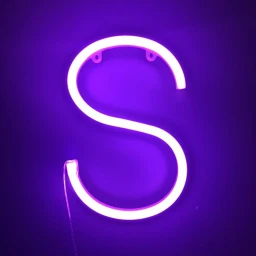 Favorite Neon S icon