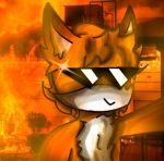 Fox Play with Friends