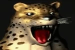 Sloppers Group Thumbnail