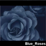 ~ Blue_Roses ~