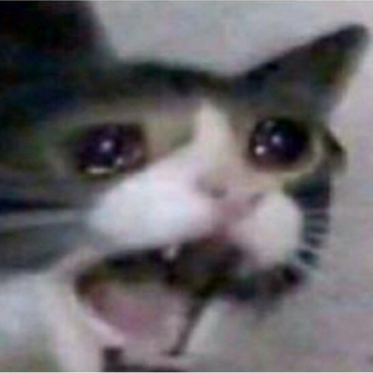 Sad cat Roblox decal