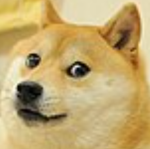 MiniDoge Inc.