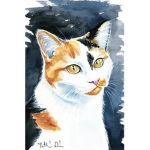 Calico Cat Cafe