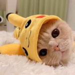 adopt me e mm2