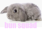 bunny moon husk wimper