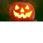 pumkin fit